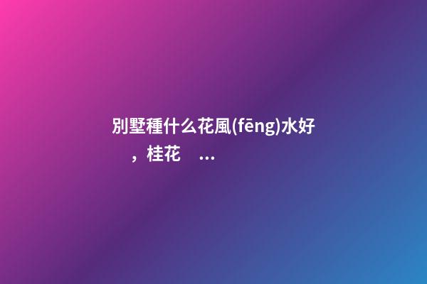 別墅種什么花風(fēng)水好，桂花、海棠、梅花、菊花